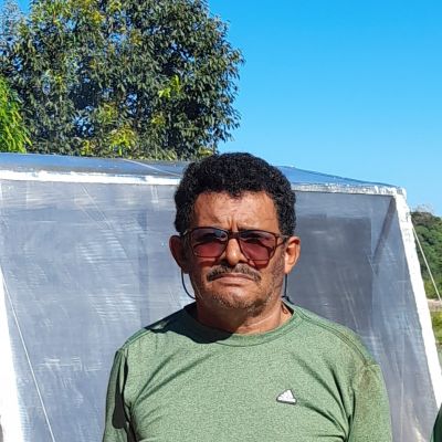 Raízes do Brasil