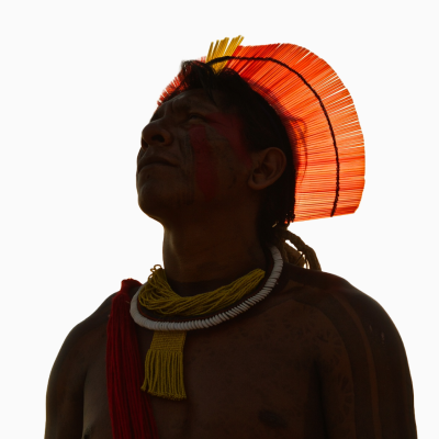 Cocar de Canudo