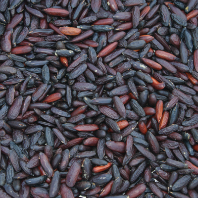foto Produto