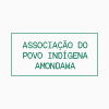 Associação do povo indígena Amondawa