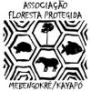Associação Floresta Protegida