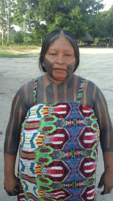 Nhokrin kaiapó