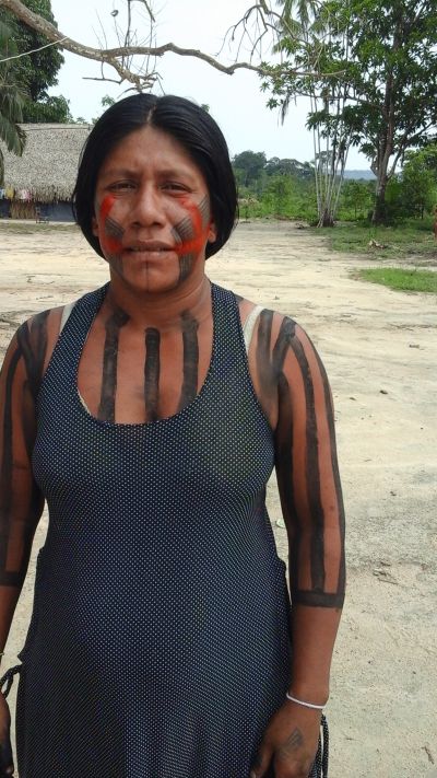 Panh-ô kayapó