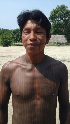 Bepkanga kayapo 