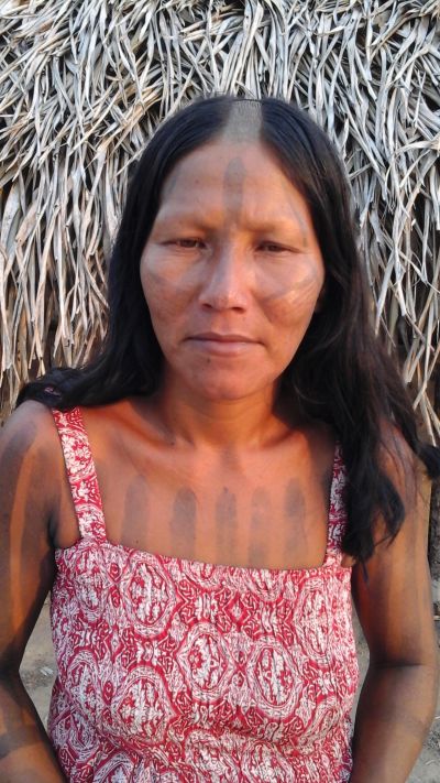 Kokona kayapo 