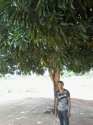 Alessandro de Arruda Ribeiro