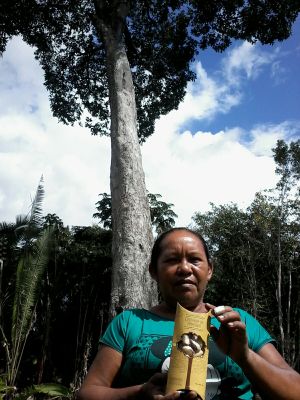 Cilene Crescencio Brazão