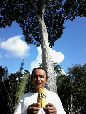 Julião Gonçalves Montenegro
