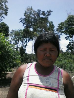 Irero Kayapó