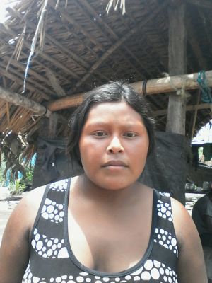 Irenapt Kayapó