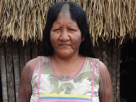 Bri-y Kayapó