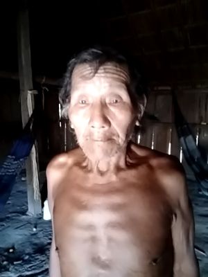 Bepkangare Metuktire
