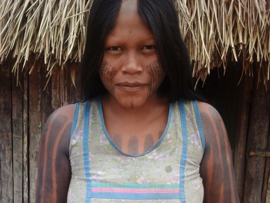 Iriby Kayapó