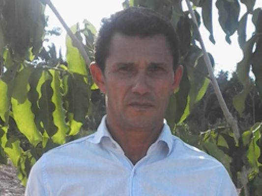 José  Araújo Ribeiro