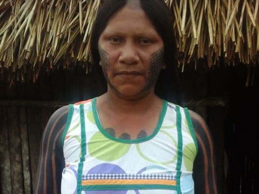 Mangri Kayapó