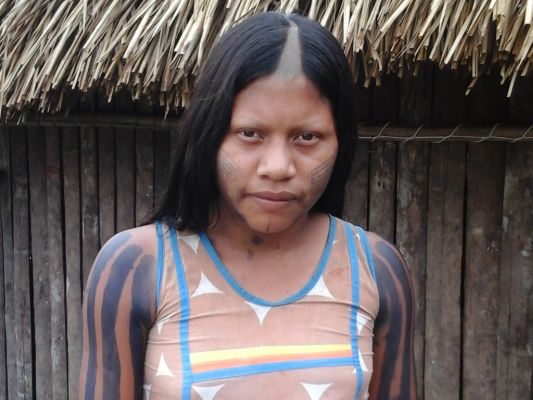 Panh-ô Kayapó