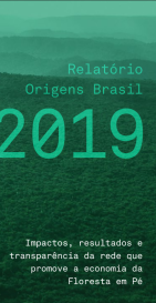 Relatório Anual da rede Origens Brasil® 2019