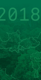 Relatório Anual da rede Origens Brasil® 2018