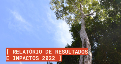 Relatório de resultados e impactos de 2022