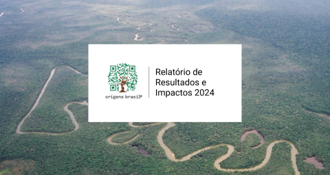 Relatório Anual 2024 - Amaz